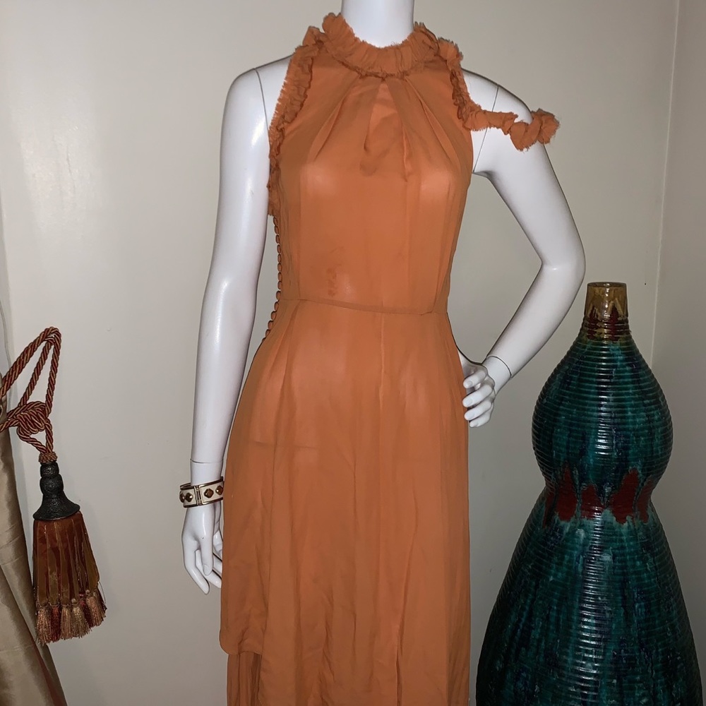 Magda Butrym Assisi Dress - Picture 10 of 11